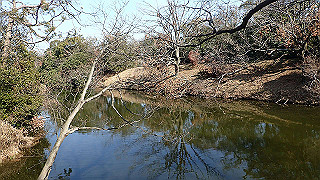 p2180737_thumb.jpg
