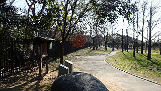 p2180738_thumb.jpg