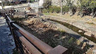 p2180748_thumb.jpg