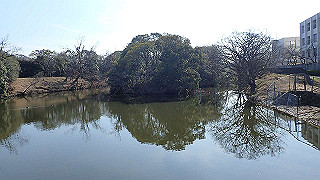 p2180750_thumb.jpg