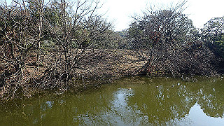 p2180751_thumb.jpg