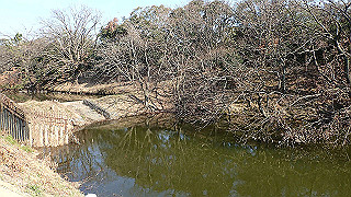 p2180752_thumb.jpg