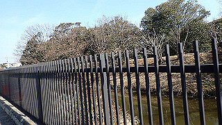 p2180753_thumb.jpg