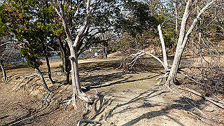 p2180756_thumb.jpg