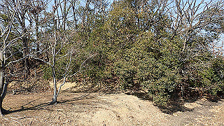 p2180758_thumb.jpg