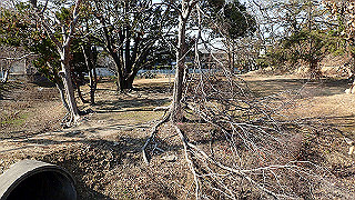 p2180760_thumb.jpg