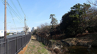 p2180763_thumb.jpg