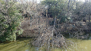 p2180765_thumb.jpg