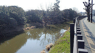 p2180766_thumb.jpg