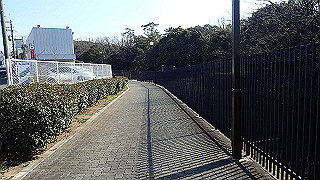 p2180768_thumb.jpg