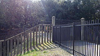 p2180769_thumb.jpg