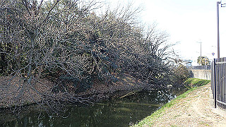 p2180772_thumb.jpg