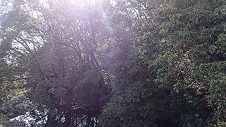 p2180778_thumb.jpg