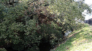p2180779_thumb.jpg