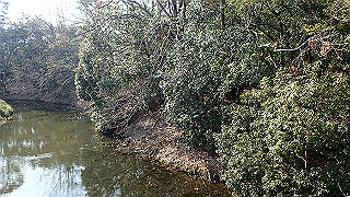 p2180781_thumb.jpg