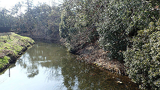 p2180782_thumb.jpg