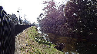 p2180785_thumb.jpg