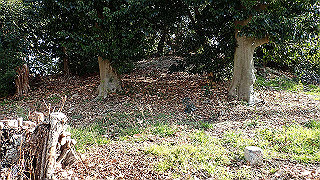 p2180788_thumb.jpg