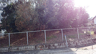 p2180789_thumb.jpg