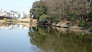 p2180794_thumb.jpg