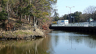 p2180795_thumb.jpg