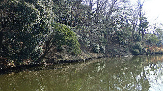 p2180796_thumb.jpg