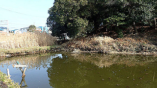 p2180797_thumb.jpg