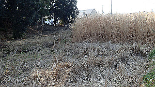 p2180800_thumb.jpg