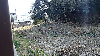 p2180801_thumb.jpg