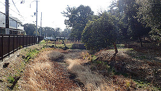 p2180802_thumb.jpg