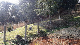 p2180803_thumb.jpg