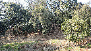 p2180804_thumb.jpg