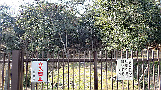 p2180805_thumb.jpg