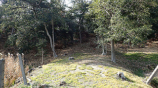 p2180806_thumb.jpg