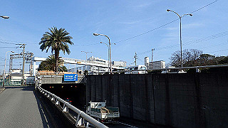 p2180807_thumb.jpg