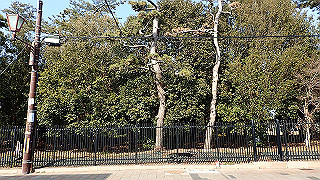 p2180829_thumb.jpg