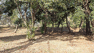 p2180836_thumb.jpg