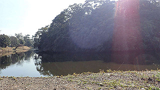 p2180849_thumb.jpg
