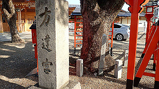 p2180850_thumb.jpg