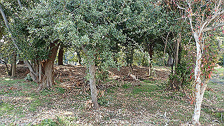 p2180856_thumb.jpg