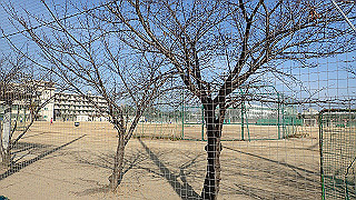 p2180873_thumb.jpg