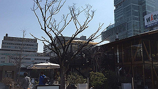 20190305112148-002_thumb.jpg