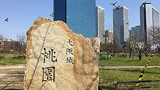 20190305115330-006_thumb.jpg