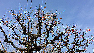 20190305123132-012_thumb.jpg