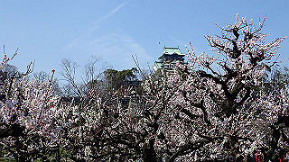 20190305123714-019_thumb.jpg