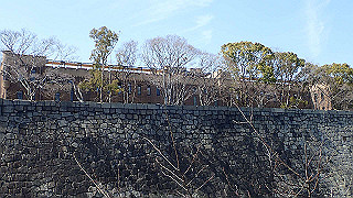 20190305124436-033_thumb.jpg