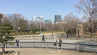 20190305124658-034_thumb.jpg