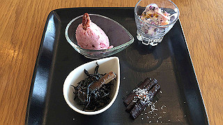 20190315_030438694_ios_thumb.jpg