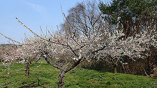 p3150469_thumb.jpg