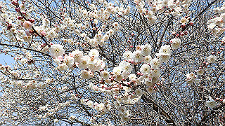 p3150471_thumb.jpg